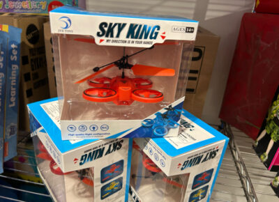 Sky King Mini Drone