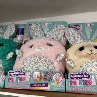 Scribble Me Plush Doodle Teddies (Asstd)