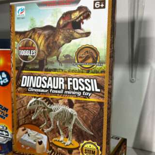 Dino Fossil Kit