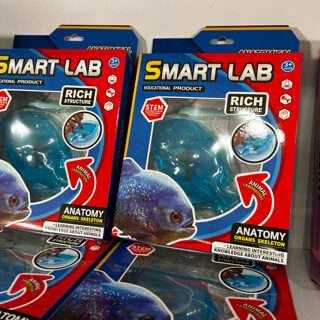 Blue Fish Smart Lab Anatomy Kit