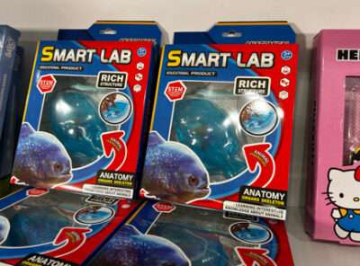 Blue Fish Smart Lab Anatomy Kit