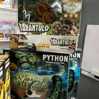 2pc RC Spider & RC Amphibious Python Mega Bundle