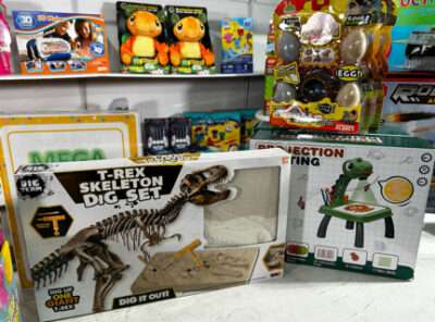 3pc Dinosaur Bundle
